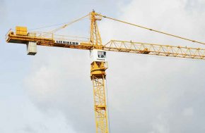 Аренда башенный кран Liebherr 132 EC-H8 Litronic